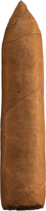 Machetero Short Torpedo